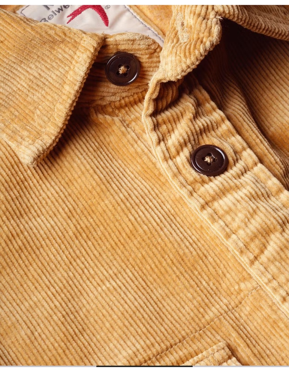 Corduroy Long-Sleeve Button-Down Shirt in Mustard Yellow - Picture 2 of 5